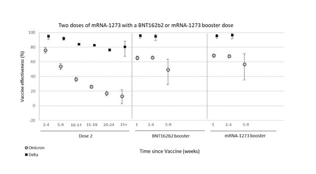 Vaccine effectiveness against hospitalization after the second and booster doses after infection with the delta variant (black squares) and omicron variant for recipients of two doses of Pfizer (BNT162b2) vaccine as the primary course and then Pfizer or Moderna (mRNA-1273) as a booster, as of March 17, 2022.